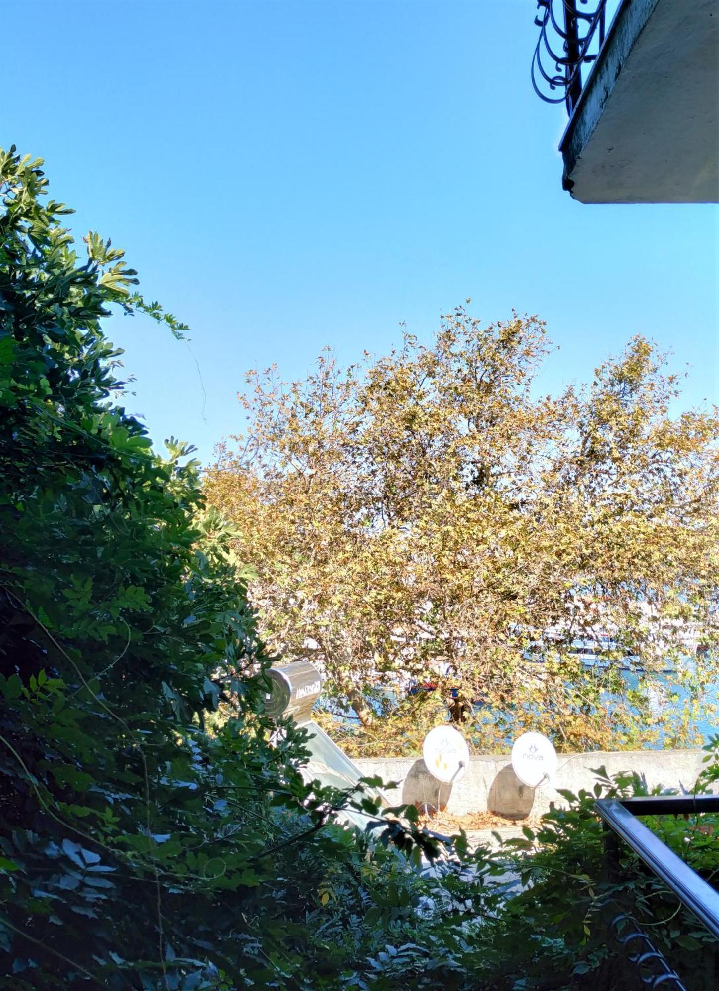 Argo Pension İskados Oda fotoğraf